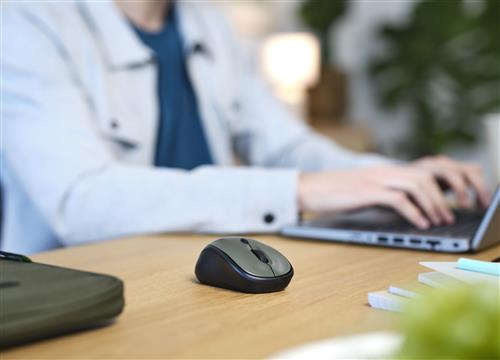 BOLOGNA BORSA LAPTOP E MOUSE SET -  VERDE