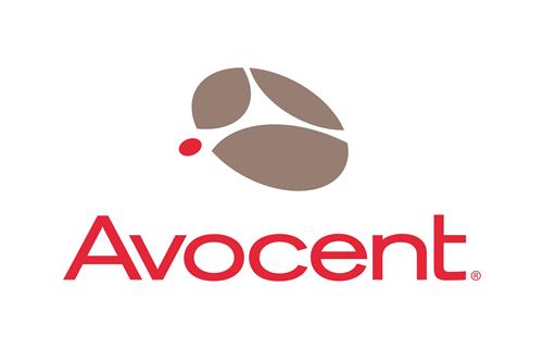 1Y-GOLD DSV 100PK ADD-ON LICENSE