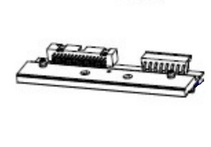 Zebra P1083347-005 testina stampante Trasferimento termico