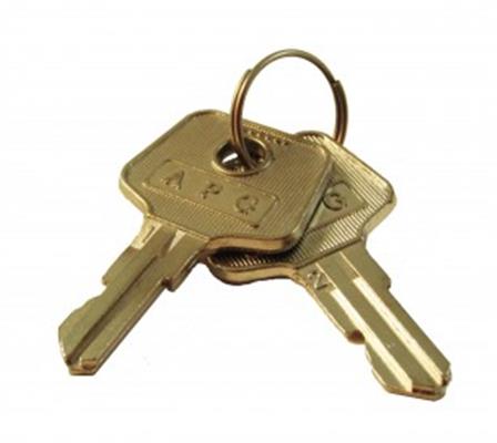 VASARIO KEY PARTS KIT (2) KEYS (DENOTES KEY NUMBER 243)