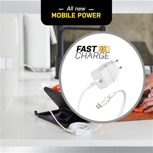 EU WALL CHARGER 20W 1X USB-C 20W USB-PD USB C-LIGHTNING CABLE