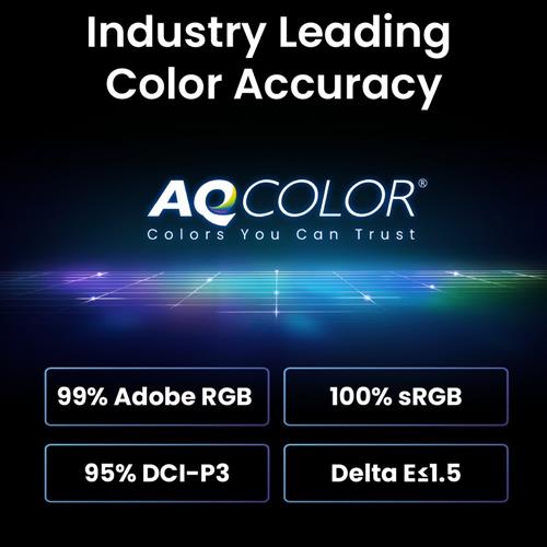 BenQ SW242Q Monitor PC 61,2 cm (24.1