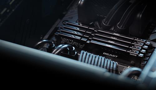 Kingston Technology FURY Beast memoria 1 x 8 GB