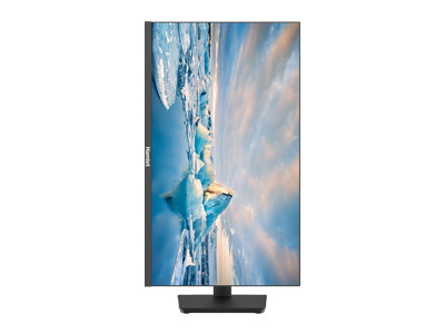 Hamlet HM24JF-VDR LED display 61 cm (24