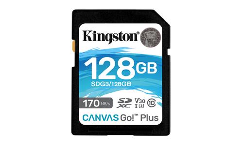 Kingston Technology Canvas Go! Plus SD Classe 10