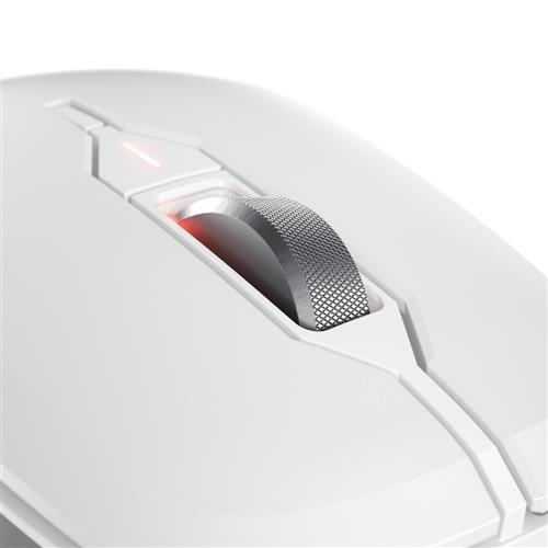CHERRY JW-8550-0 mouse Universale Mano destra RF Wireless Ottico 4000 DPI