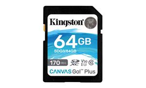 Kingston Technology Canvas Go! Plus SD Classe 10