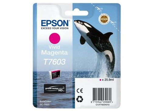 Epson C13T76034N10 cartuccia d'inchiostro 1 pz Originale Magenta vivido