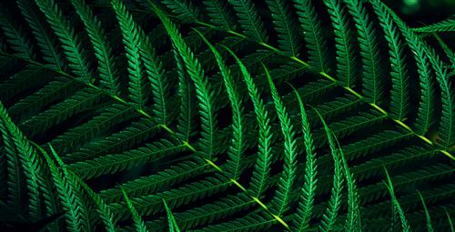 Philips 5000 series 27B2G5200/00 Monitor PC 68,6 cm (27) 1920 x 1080 Pixel Full HD LCD Antracite