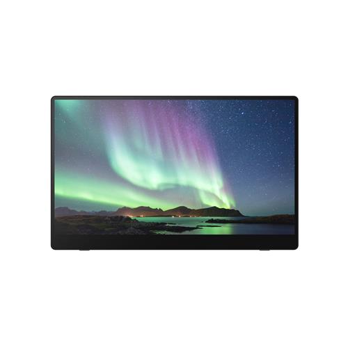 Ricoh Monitor portatile 150BW