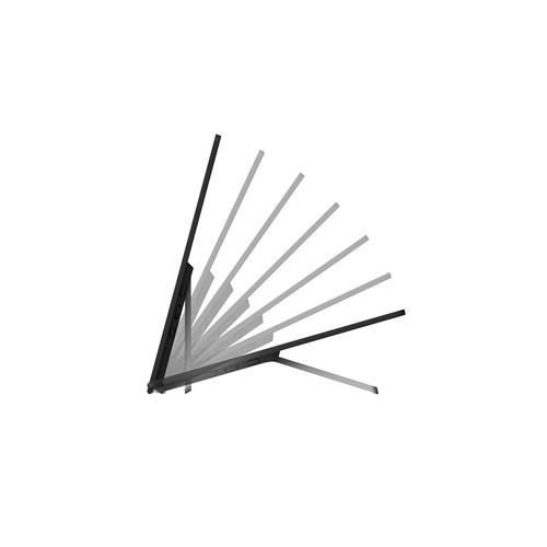 Ricoh Monitor portatile 150BW