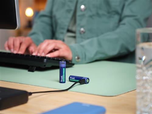 USB-C RECHARGEABLE BATTERIES 2P AA