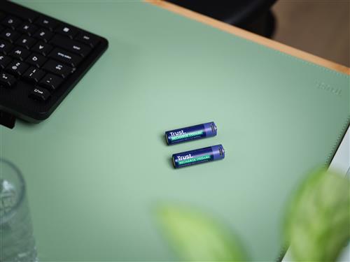 USB-C RECHARGEABLE BATTERIES 2P AA