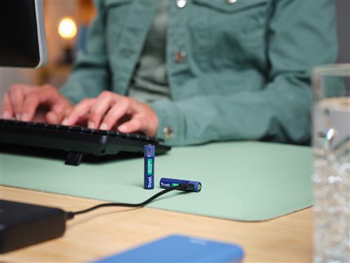 USB-C RECHARGEABLE BATTERIES 2P AAA