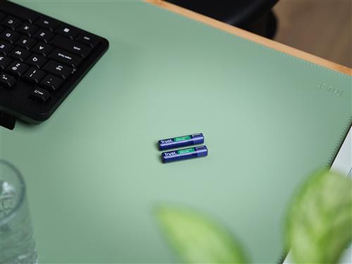 USB-C RECHARGEABLE BATTERIES 2P AAA