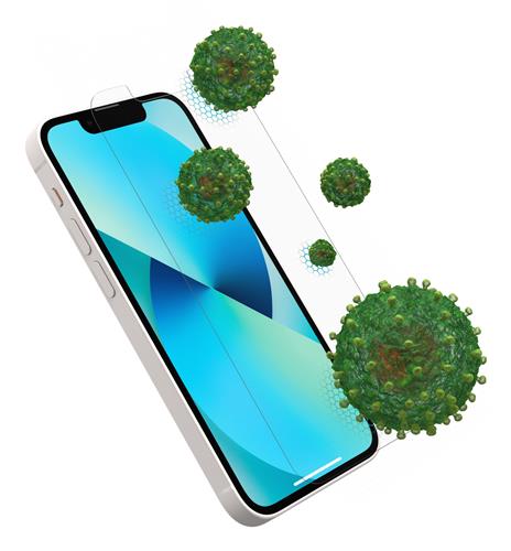 AMPLIFY ANTI-MICROBIAL IPHONE 13 PRO MAX CLEAR PROPACK BULK