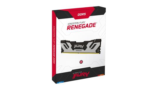 24GB DDR5 8000MT/S CL38 DIMM FURY Renegade Silver