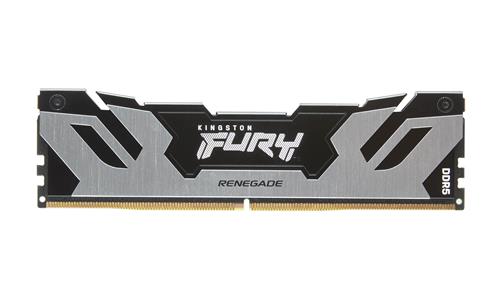 24GB DDR5 8000MT/S CL38 DIMM FURY Renegade Silver