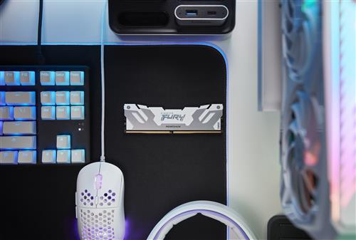 24GB DDR5 8800MT/S CL42 CUDIMM FURY Renegade White