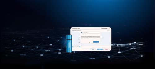 256GB IRONKEY VAULT PRIVACY 50 AES-256 ENCRYPTED FIPS 197