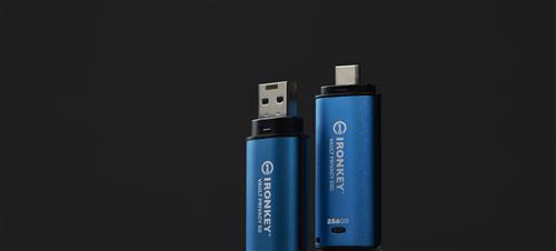 256GB IRONKEY VAULT PRIVACY 50 AES-256 ENCRYPTED FIPS 197