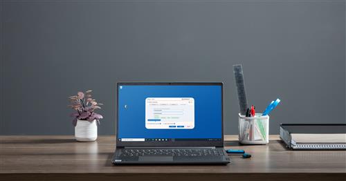 256GB IRONKEY VAULT PRIVACY 50 AES-256 ENCRYPTED FIPS 197