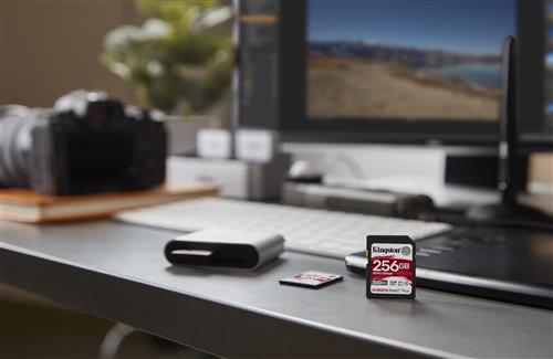 256GB SDXC REACT PLUS UHS-II 300R/260W U3 V90 FULL HD/4K/8K