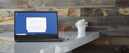 256GB USB 3.2 IRONKEY LOCKER+50 AES USB W/256BIT ENCRYPTION