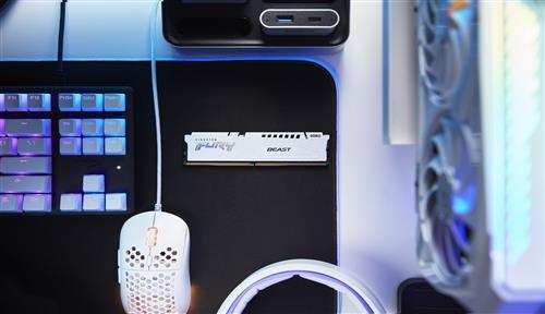 32GB DDR5-5600MT/S CL36 DIMM FURY Beast White EXPO