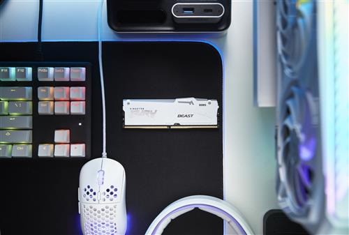 32GB DDR5-5600MT/S CL40 DIMM FURY Beast White RGB XMP