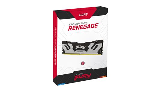 48GB DDR5-6400MT/S CL32 DIMM FURY Renegade Silver XMP