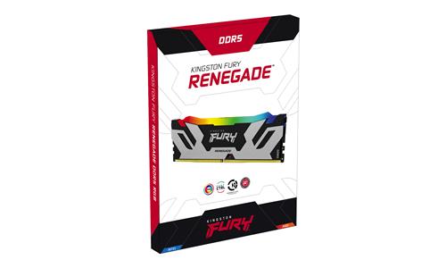 48GB DDR5-7200MT/S CL38 DIMM Kit of 2 Renegade RGB Silver XMP