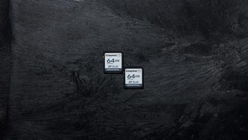 64GB SDXC INDUSTRIAL C10 -40C to 85C UHS-I U3 V30 A1 pSLC