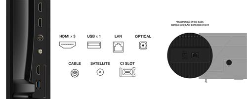 TVC LED 55 4K ULTRA HD GOOGLE HDR 10 DOLBY AUDIOBT LATIVU