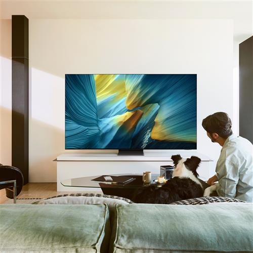 TVC LED 55 OLED SMART TV ONE CONNECT HDR10 4HDMI3 USB DOLBY A