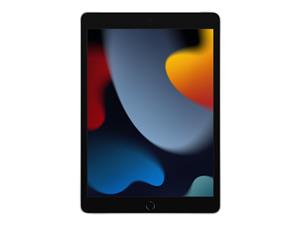 10.2-INCH IPAD WI-FI + CELLULAR 256GB - SILVER