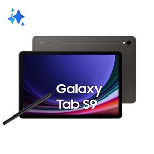 Samsung Galaxy Tab S9 SM-X710N Qualcomm Snapdragon 27,9 cm (11) Wi-Fi 6 (802.11ax) Grafite