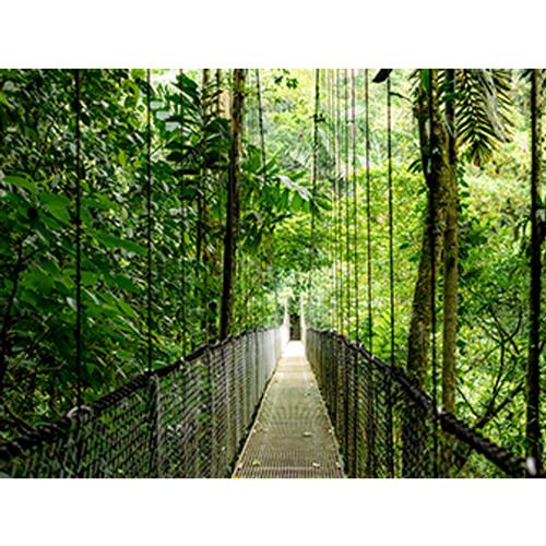 ELITEBOOK 6 G1I U5-225U 16GB 512GB 16IN NOOD W11P