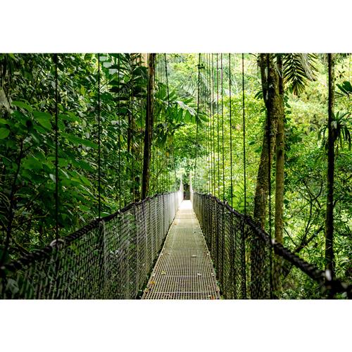 HP EliteBook 6 G1i AI Intel Core Ultra 7 255U Computer portatile 40,6 cm (16