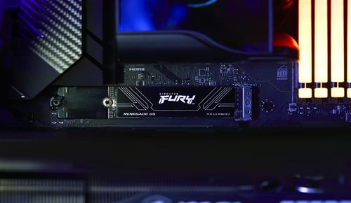 1TB FURY RENEGADE G5 M.2 2280 PCIE 5.0 NVME SSD