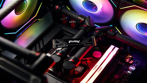 2TB FURY RENEGADE G5 M.2 2280 PCIE 5.0 NVME SSD