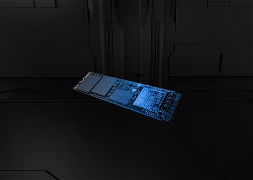 2TB FURY RENEGADE G5 M.2 2280 PCIE 5.0 NVME SSD