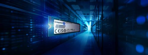 480G DC2000B PCIE 4.0 M.2 2280 ENTERPRISE SSD