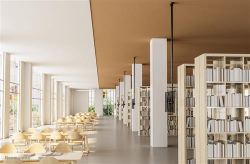 FLAT SCREEN CEILING MOUNT Height 250-300 cm