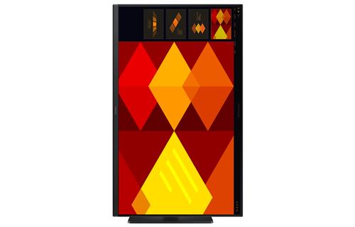 24IN FLAT FHD 1920X1080 5MS 100HZ IPS FLAT 1000:1 HAS HDMI