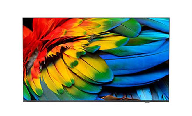 58IN MEDIA SUITE IPTV 3840X2160 5000:1 16GB HDMI