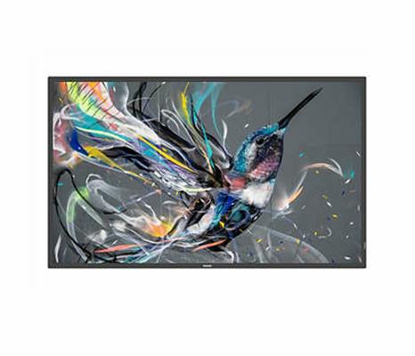 65BDL3650QE/00 65IN 16:9 3840 X 2160 300CD/M 1200:1 8MS HDMI