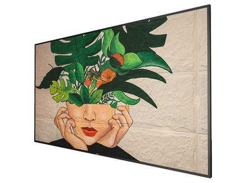 65BDL4511D 164CM 65IN IPS LED 3840X2160 16:9 500CD/QM