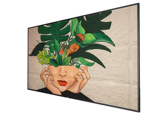 75BDL4511D 189CM 75IN IPS LED 3840X2160 16:9 500CD/QM