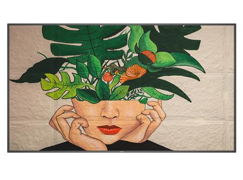 75BDL4511D 189CM 75IN IPS LED 3840X2160 16:9 500CD/QM